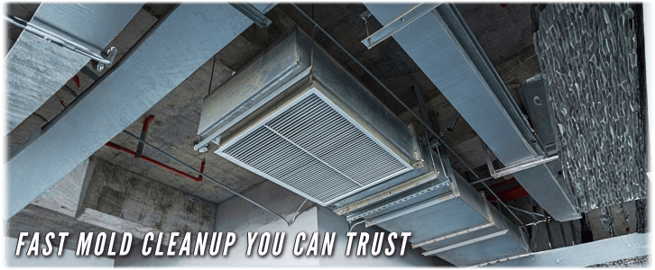 Air Duct Mold Removal in Elk Grove Village