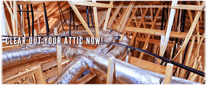 Attic Cleaning Elk Grove Village